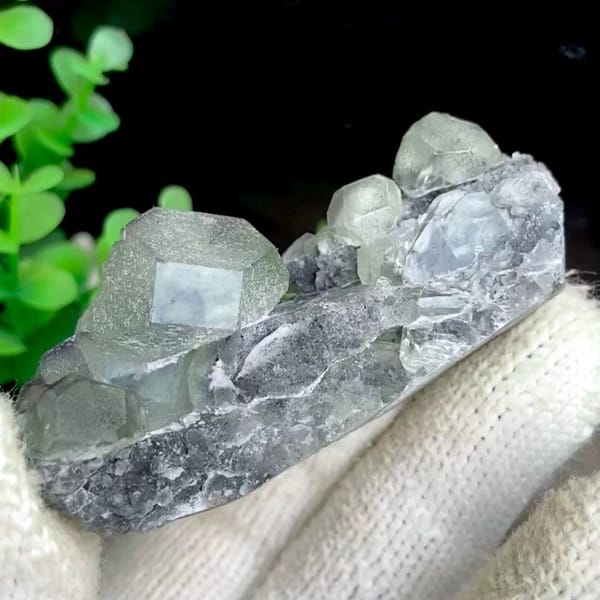 Green fluorite cubes on grey botryoidal fluorite base from Jiangxi, China