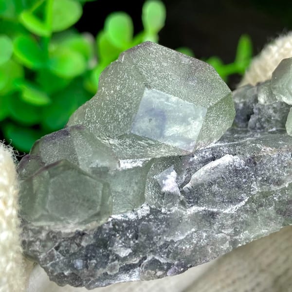 Green fluorite cubes on grey botryoidal fluorite base from Jiangxi, China, view 2 of 9