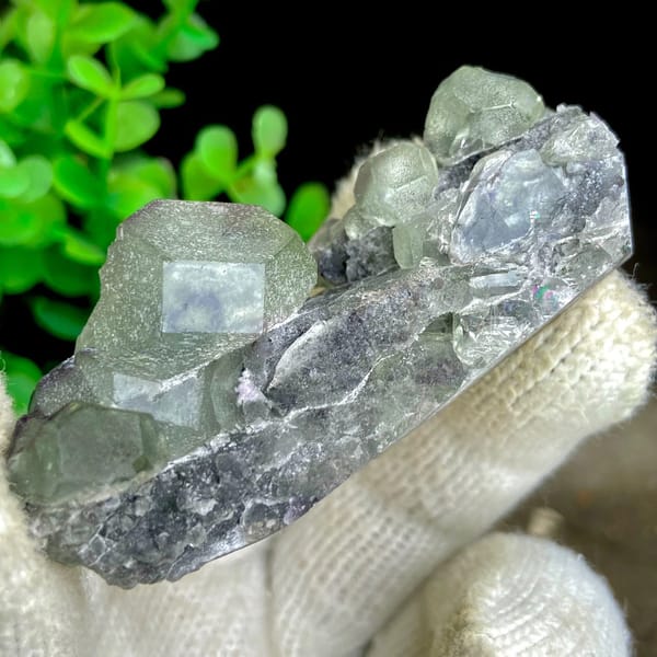 Green fluorite cubes on grey botryoidal fluorite base from Jiangxi, China, view 3 of 9