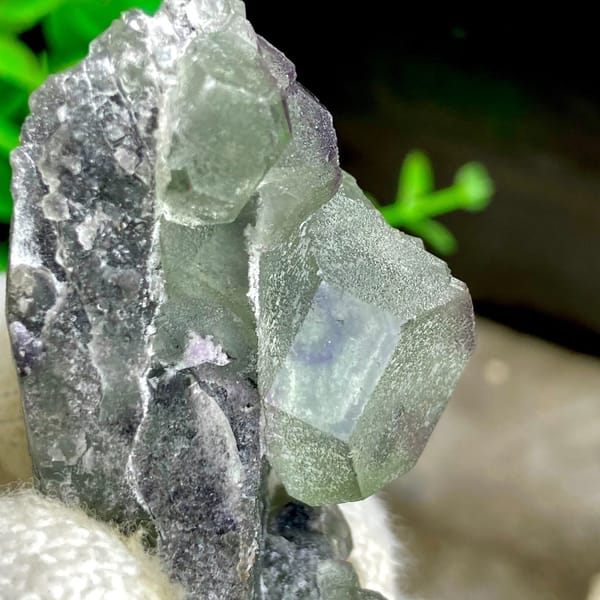 Green fluorite cubes on grey botryoidal fluorite base from Jiangxi, China, view 4 of 9