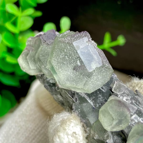 Green fluorite cubes on grey botryoidal fluorite base from Jiangxi, China, view 5 of 9