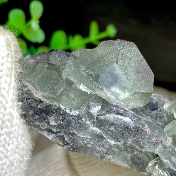 Green fluorite cubes on grey botryoidal fluorite base from Jiangxi, China, view 6 of 9