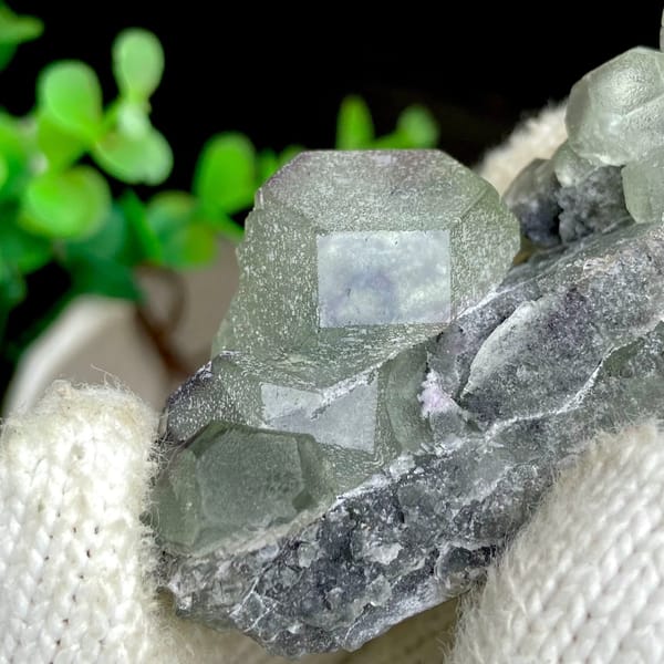 Green fluorite cubes on grey botryoidal fluorite base from Jiangxi, China, view 7 of 9