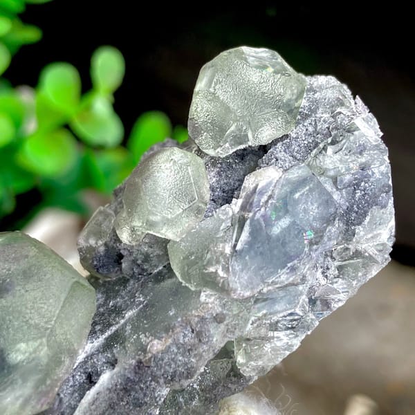 Green fluorite cubes on grey botryoidal fluorite base from Jiangxi, China, view 8 of 9