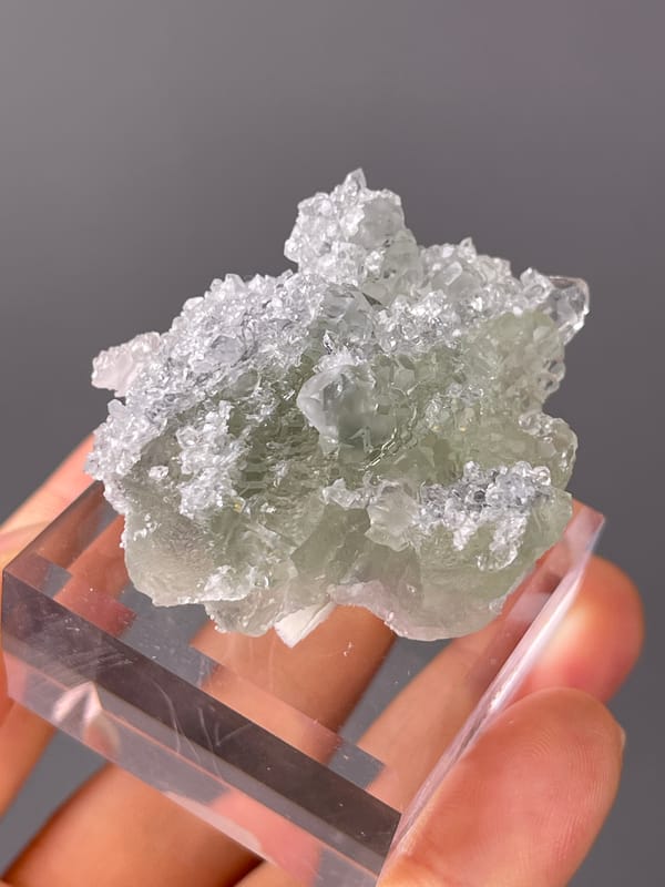 Pale green fluorite cubes on clear quartz druse visible on Green Fluorite on Quartz specimen from