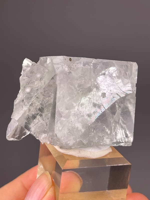Green Fluorite specimen from Xianghualing, Hunan, China presenting intergrown colorless cubic crystals