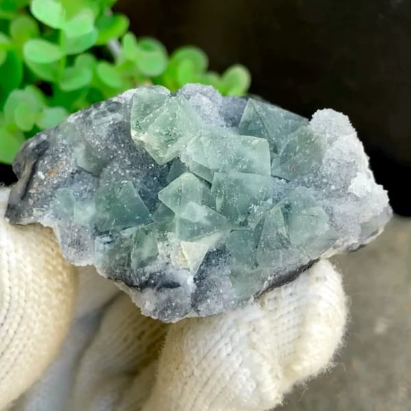 Sea-green fluorite octahedra clustered on grey rock from Hunan, China