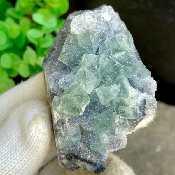 Sea-green fluorite octahedra clustered on grey rock from Hunan, China, view 3 of 9
