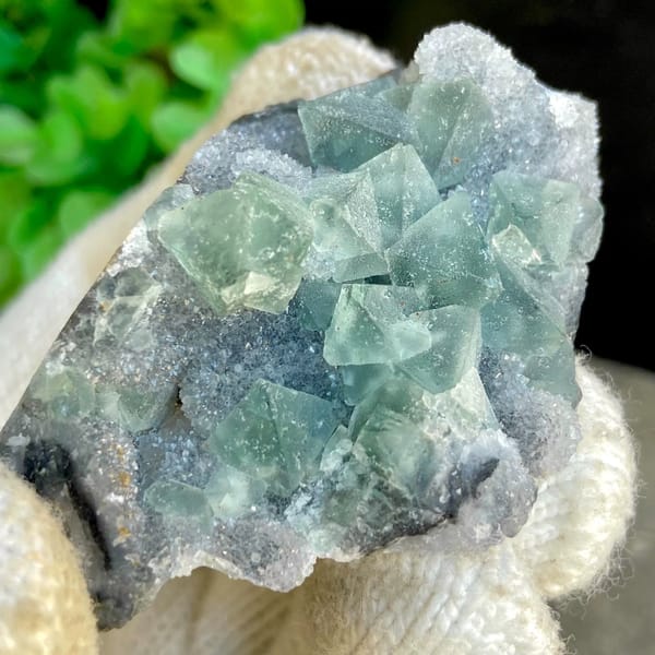 Sea-green fluorite octahedra clustered on grey rock from Hunan, China, view 6 of 9