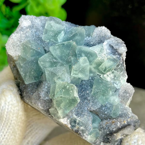 Sea-green fluorite octahedra clustered on grey rock from Hunan, China, view 9 of 9