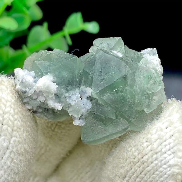 Sea-green fluorite octahedra with white quartz from Zhejiang, China, view 2 of 9