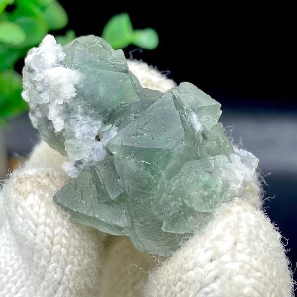 Sea-green fluorite octahedra with white quartz from Zhejiang, China, view 3 of 9