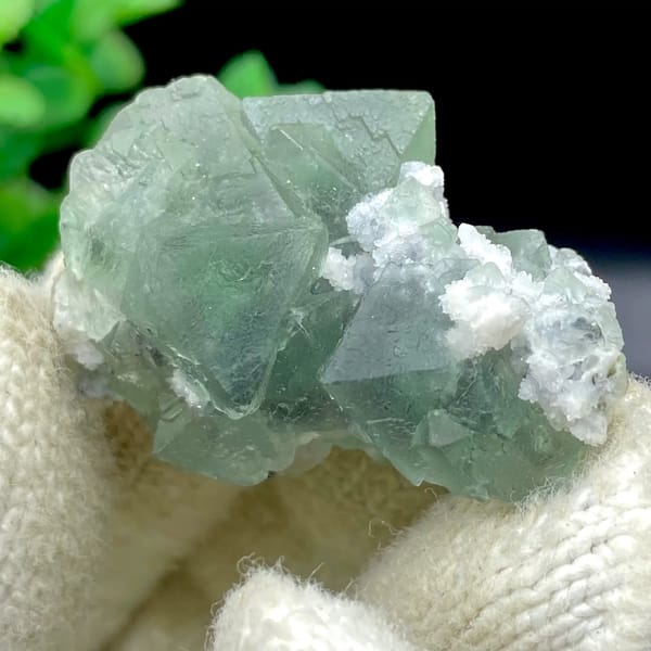 Sea-green fluorite octahedra with white quartz from Zhejiang, China, view 4 of 9