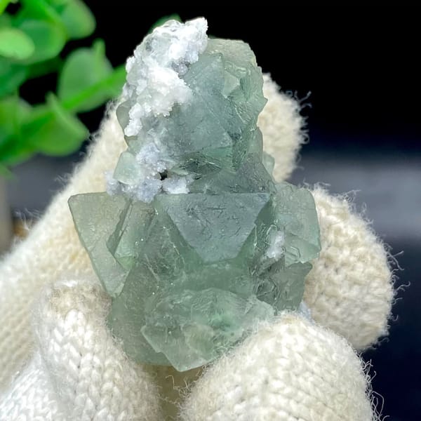 Sea-green fluorite octahedra with white quartz from Zhejiang, China, view 5 of 9