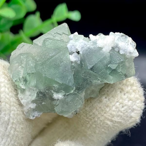 Sea-green fluorite octahedra with white quartz from Zhejiang, China, view 7 of 9