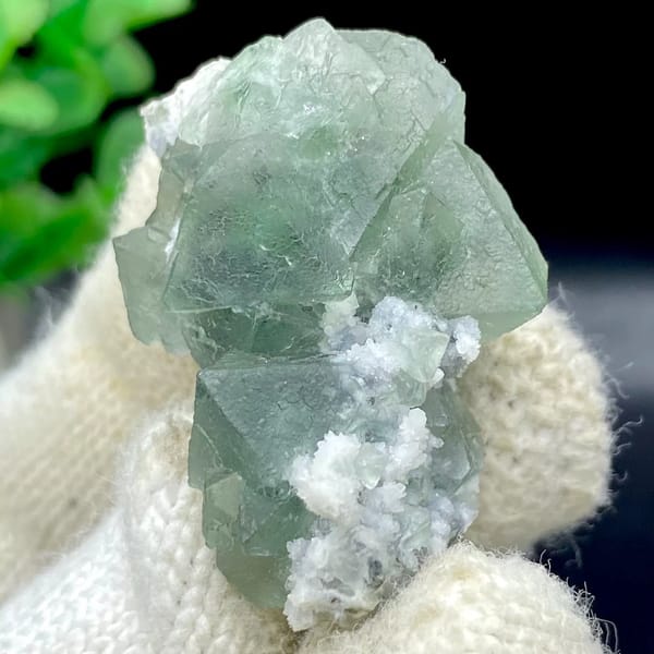 Sea-green fluorite octahedra with white quartz from Zhejiang, China, view 8 of 9