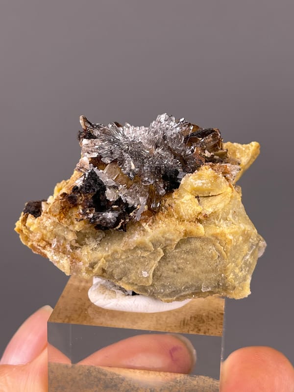 Gypsum Flower Cluster specimen from Guizhou, China showing dark crystals on yellow-brown matrix
