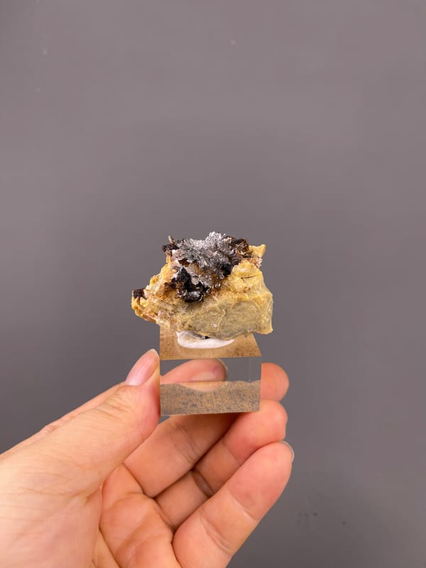 Dark crystals on yellow-brown matrix visible on gypsum flower cluster specimen from Guizhou, China