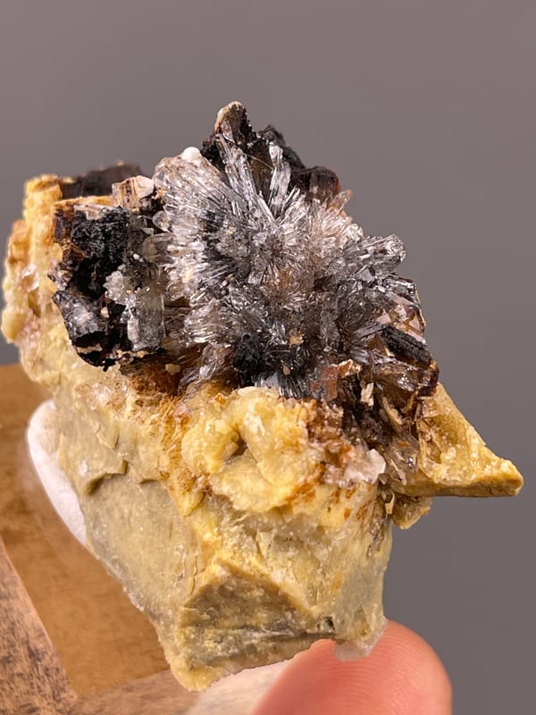 Gypsum Flower Cluster specimen from Guizhou, China highlighting dark crystals on yellow-brown matrix