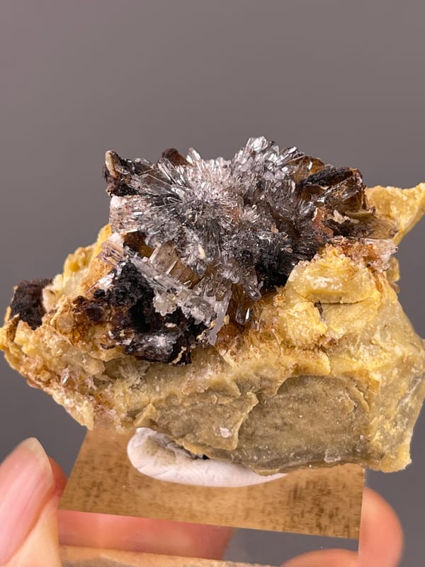 Gypsum Flower Cluster specimen from Guizhou, China, characterized by dark crystals on yellow-brown matrix