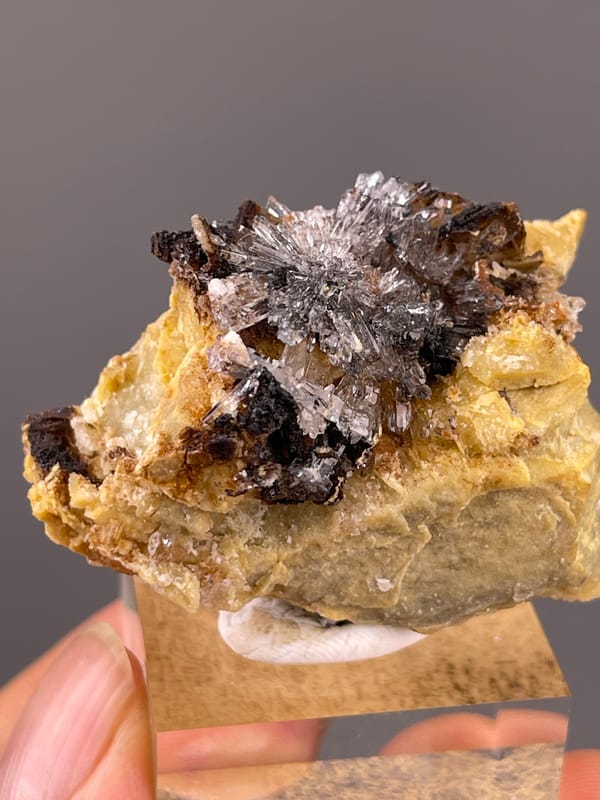 Gypsum Flower Cluster specimen from Guizhou, China bearing dark crystals on yellow-brown matrix