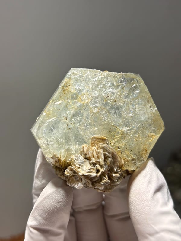 Hexagonal aquamarine plate with mica rosette from Xuebaoding, Sichuan, China, held in gloved hand