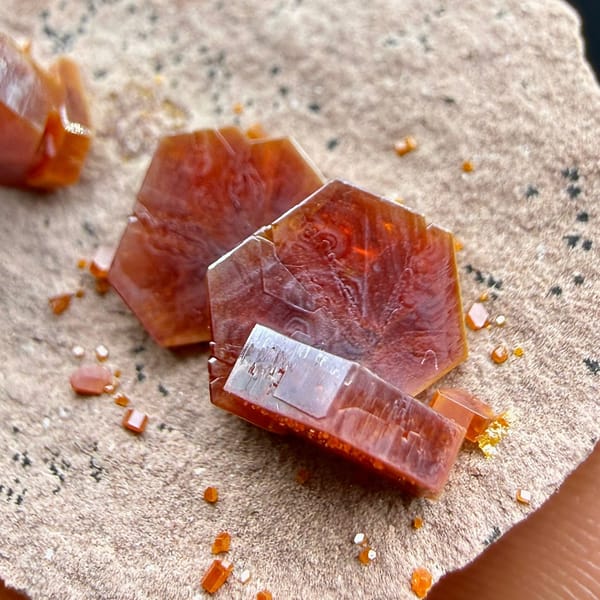 Ruby-red hexagonal vanadinite crystals on pale sandstone from Morocco, view 2 of 6