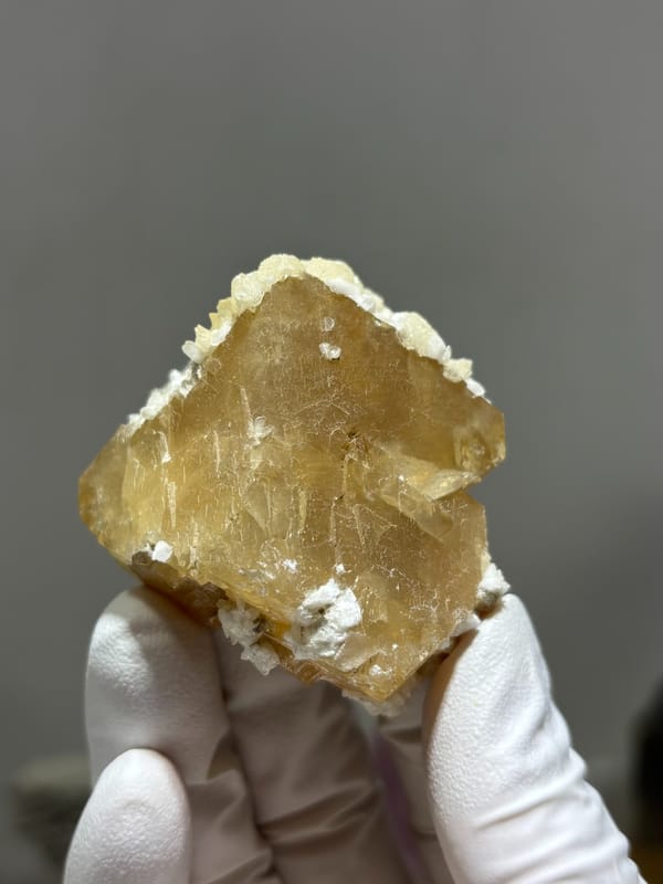Large honey scheelite with white calcite from Xuebaoding, Sichuan, China, held in gloved hand