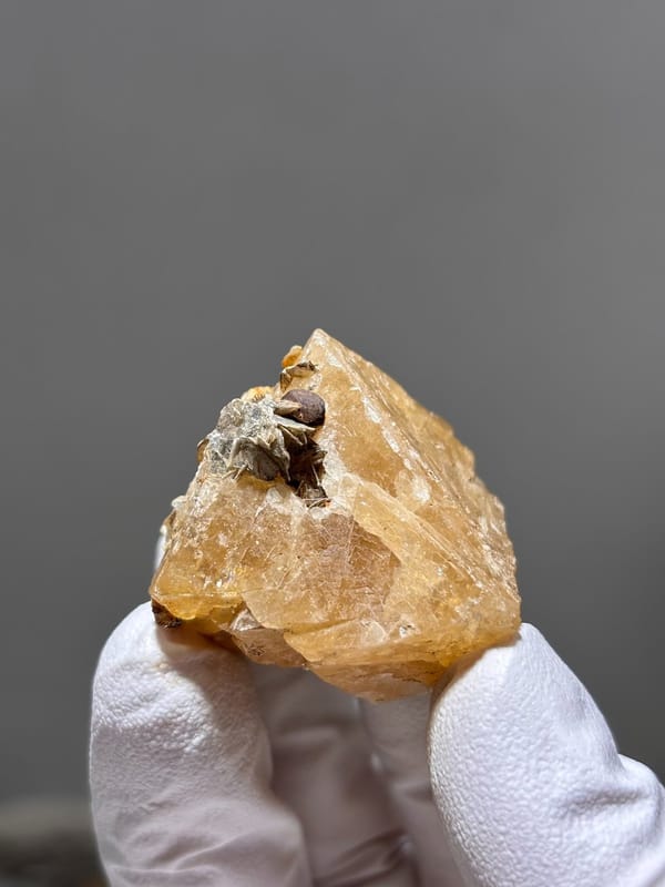 Honey scheelite with dark mica cap from Xuebaoding, Sichuan, China