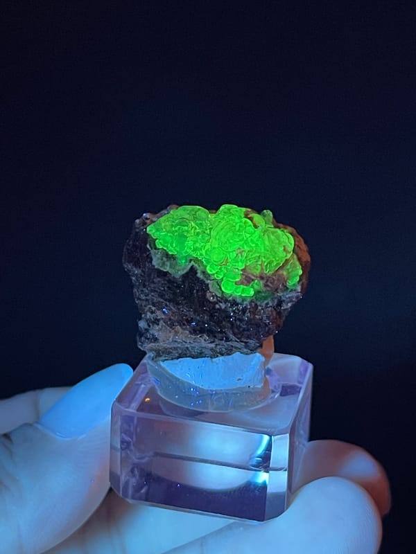 Hyalite Opal from Mexico: bright green fluorescence under dark lighting.