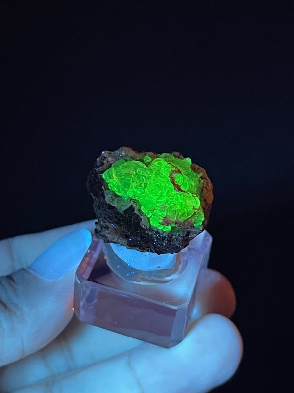 Hyalite Opal from Mexico: fluorescent green upper surface above dark matrix.