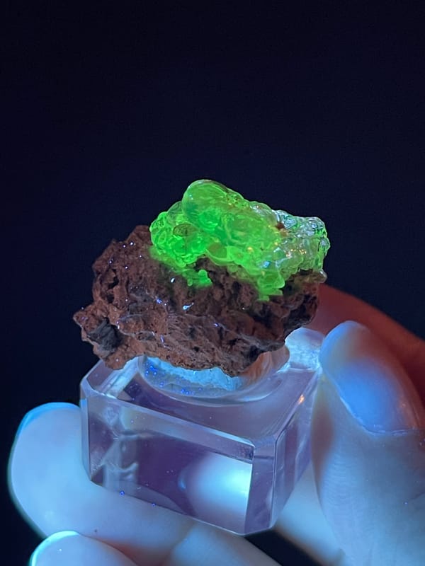 Hyalite Opal from Mexico: bright green fluorescence across the upper coating.