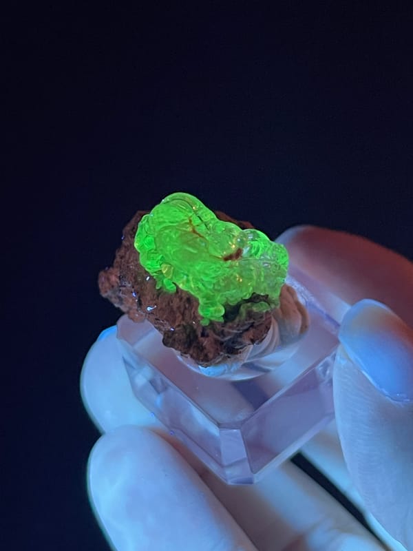 Hyalite Opal from Mexico: side view of fluorescent green rounded forms.
