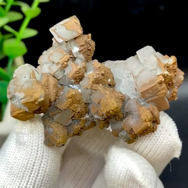 Iceland spar calcite rhombs half-coated in rusty iridescent pyrite from Hunan, China
