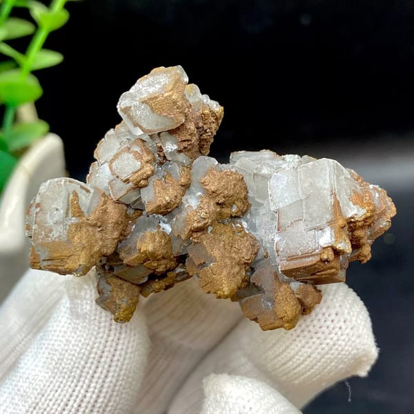 Iceland spar calcite rhombs half-coated in rusty iridescent pyrite from Hunan, China, view 2 of 9