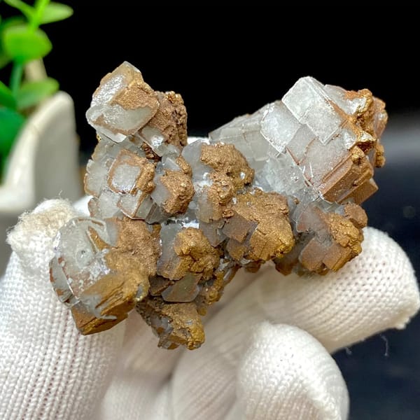 Iceland spar calcite rhombs half-coated in rusty iridescent pyrite from Hunan, China, view 3 of 9