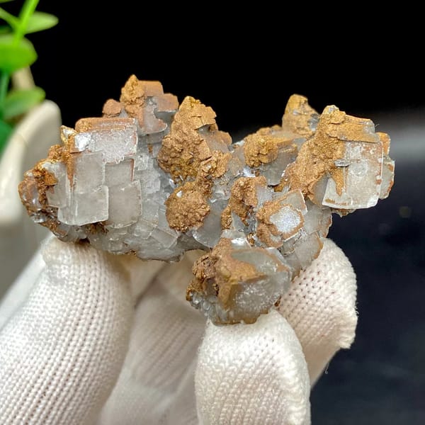 Iceland spar calcite rhombs half-coated in rusty iridescent pyrite from Hunan, China, view 4 of 9