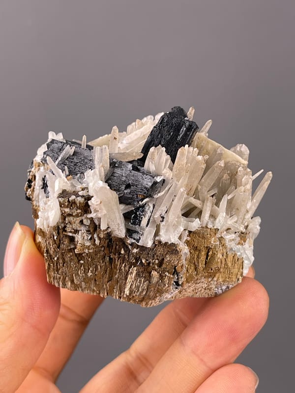 Ilvaite specimen from Inner Mongolia, China featuring black blades and white prisms
