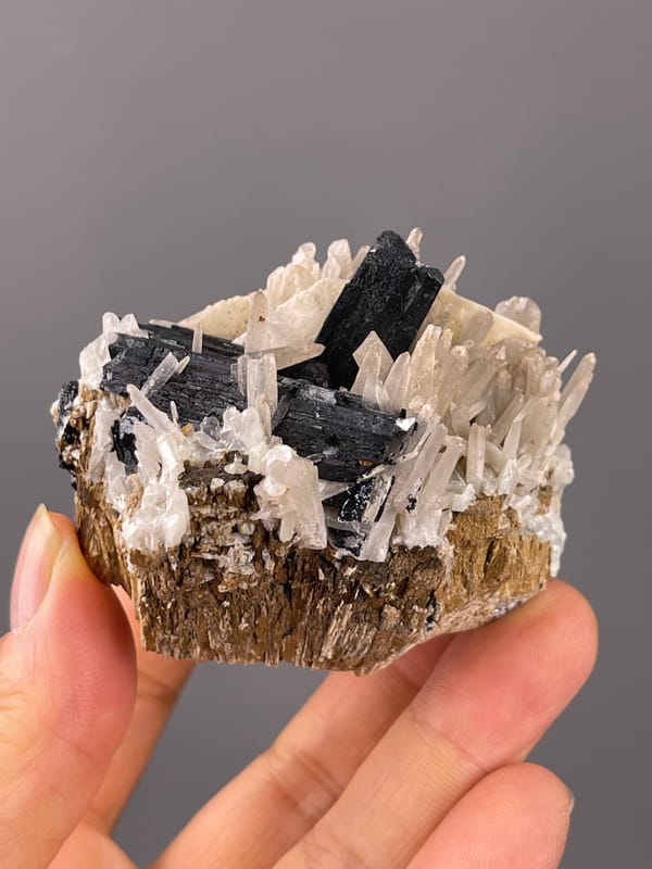 Ilvaite specimen from Inner Mongolia, China showing black blades and white prisms