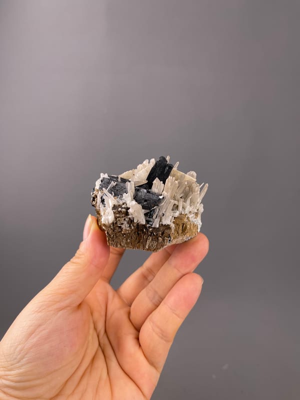 Ilvaite specimen from Inner Mongolia, China, defined by black blades and white prisms