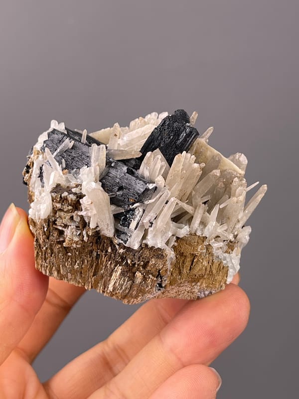 Ilvaite specimen from Inner Mongolia, China presenting black blades and white prisms