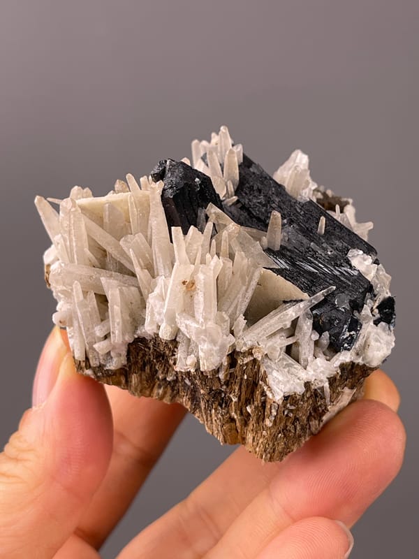 Black blades and white prisms visible on ilvaite specimen from Inner Mongolia, China