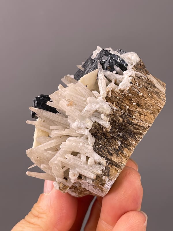 Black blades and white prisms on natural ilvaite specimen from Inner Mongolia, China