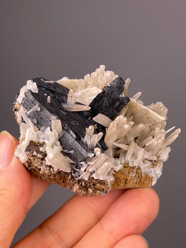 Ilvaite specimen from Inner Mongolia, China highlighting black blades and white prisms