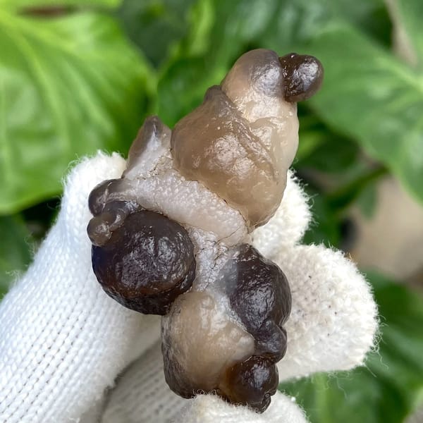 Knobbly stalk of smoky botryoidal agate from Africa, view 3 of 9