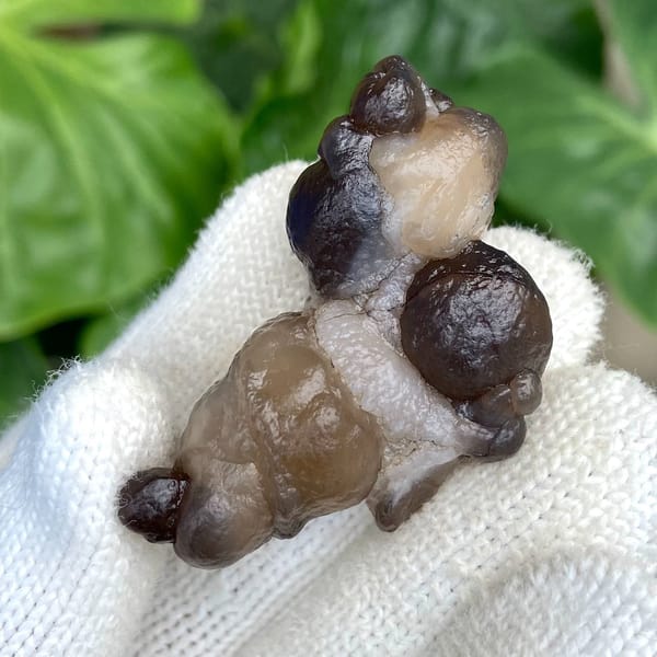 Knobbly stalk of smoky botryoidal agate from Africa, view 4 of 9