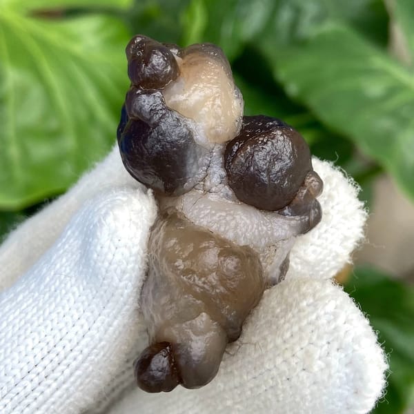 Knobbly stalk of smoky botryoidal agate from Africa, view 5 of 9