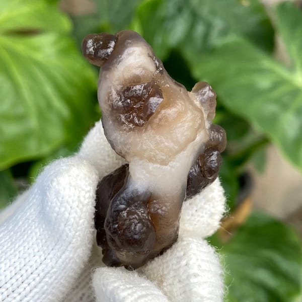 Knobbly stalk of smoky botryoidal agate from Africa, view 9 of 9