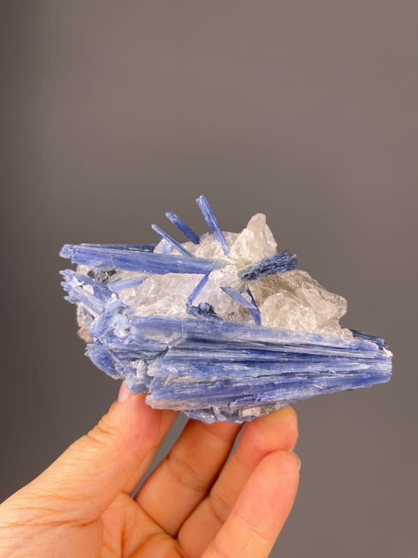 Kyanite specimen from Brazil featuring blue striated blades in quartz