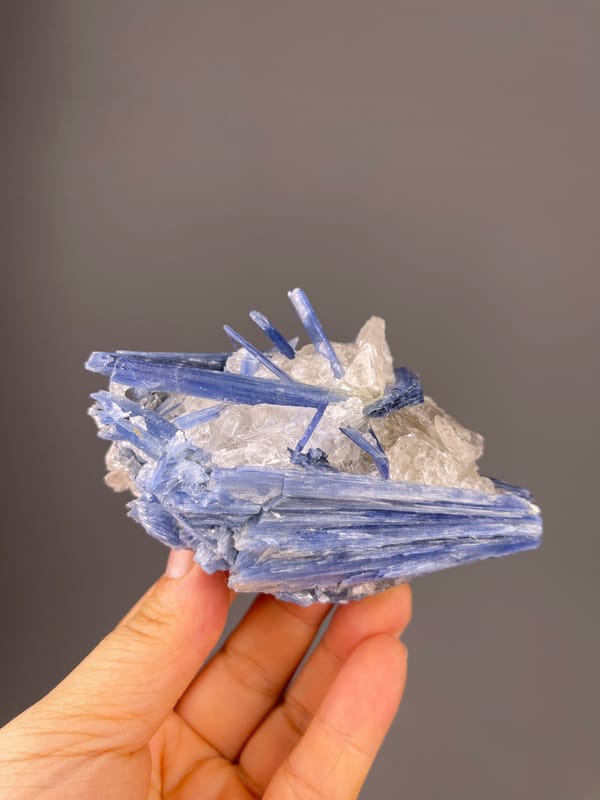 Kyanite specimen from Brazil showing blue striated blades in quartz